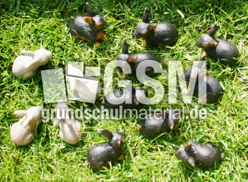 Kaninchen-4+9B.jpg
